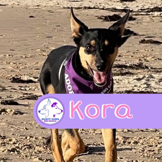 Photo of Kora