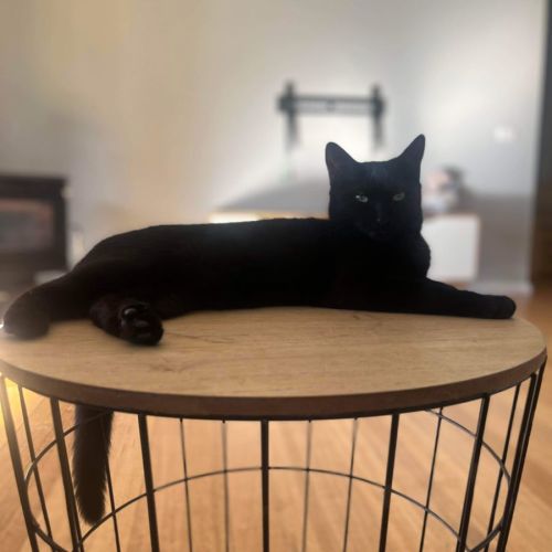 Salem 💘