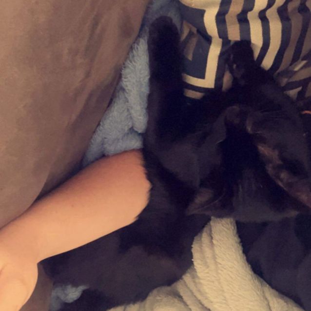 Photo of Salem 💘