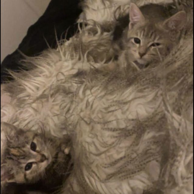 Photo of Zoe And Lexi 