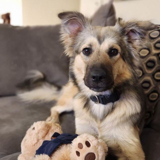 Photo of Nadia