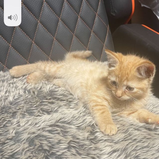 Photo of Meg & Micky