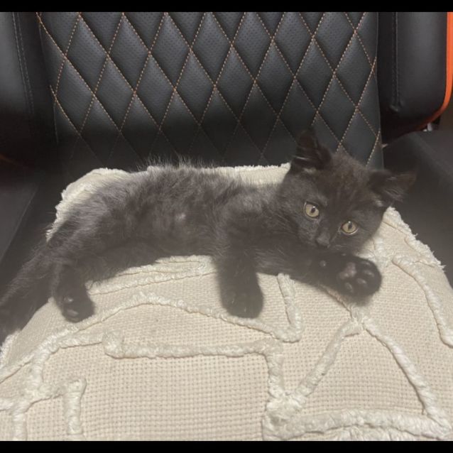 Photo of Meg & Micky