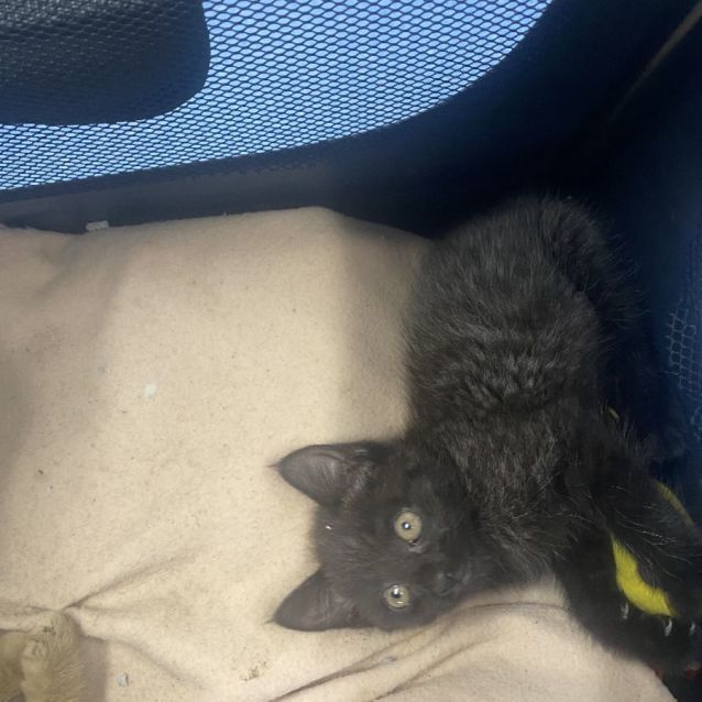 Photo of Meg & Micky