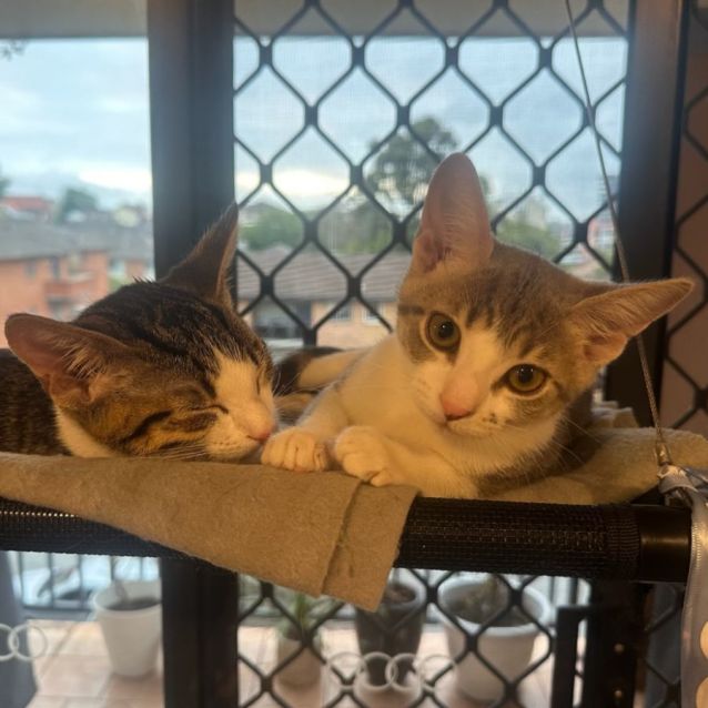 Photo of Tiny & Spice