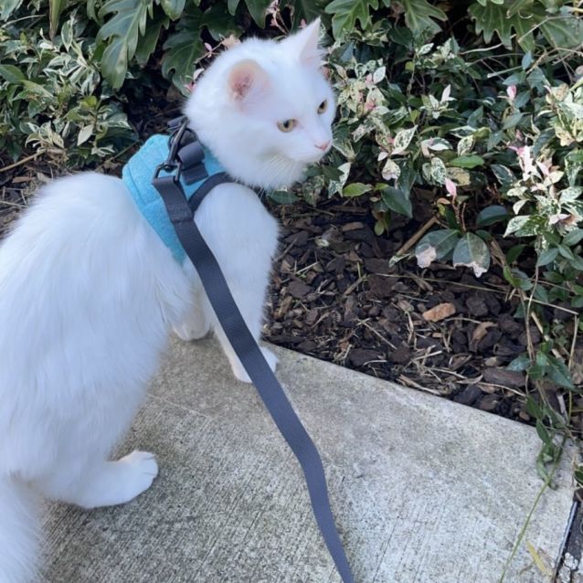 Photo of Andy & Mouth