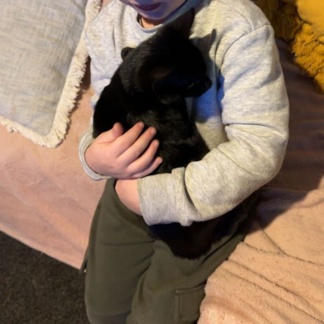 Photo of Luna Mae 🌷