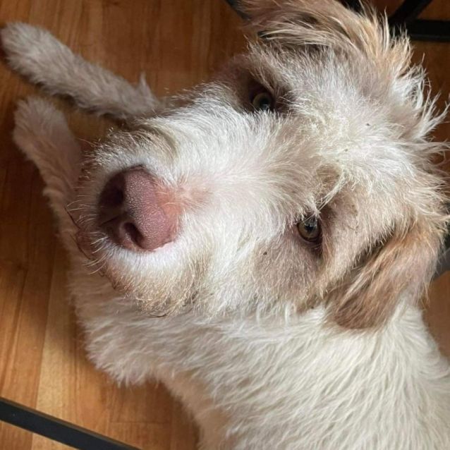 Photo of Eleanor