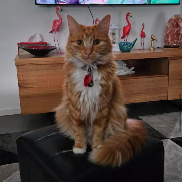 Photo of Freddi