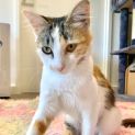 Photo of Daisy