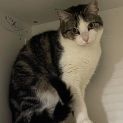 Photo of Delilah