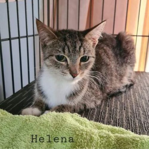 No photo for Helena