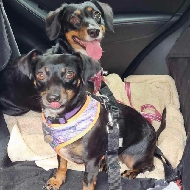 Photo of Maggie And Mitsi