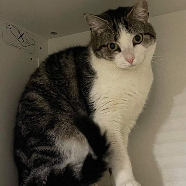 Photo of Delilah