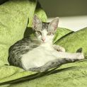 Photo of Thumper