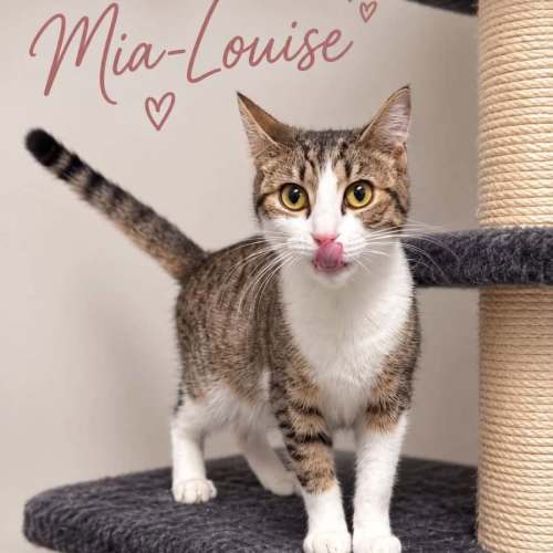 Mia-Louise