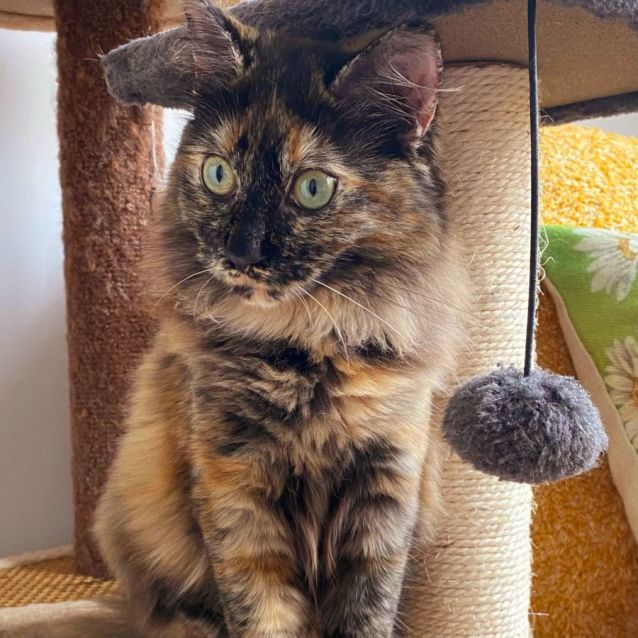 Photo of Savannah & Gretel🌷🌷