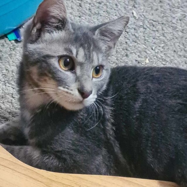 Photo of Remmie