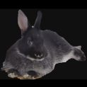 Photo of Chunkie