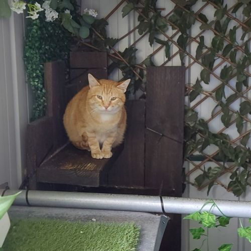 Hank❤️‍🔥