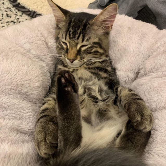 Photo of Sporty Spice 