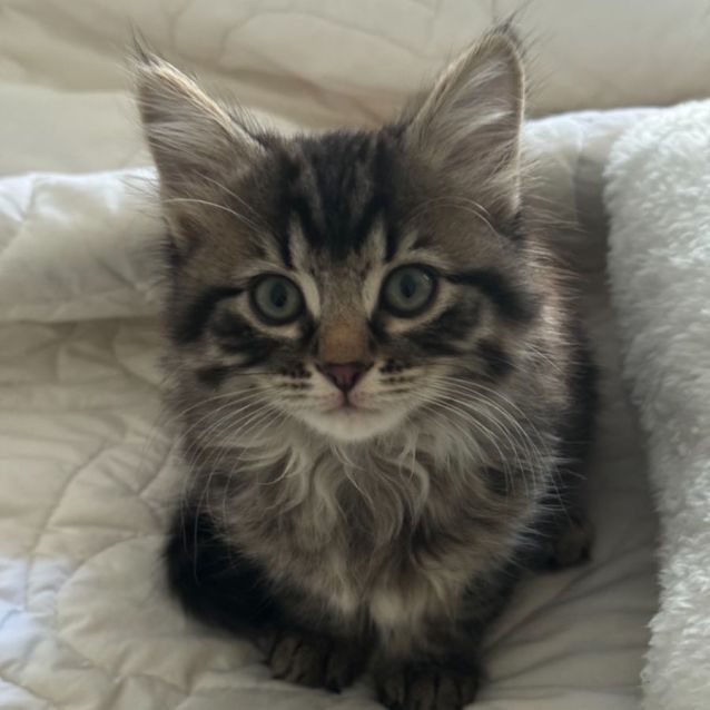 Photo of Riley