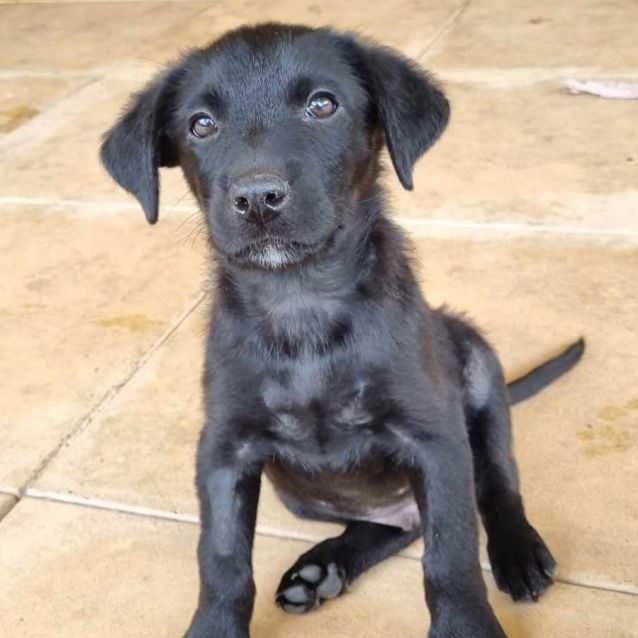 Photo of Fred And Barney