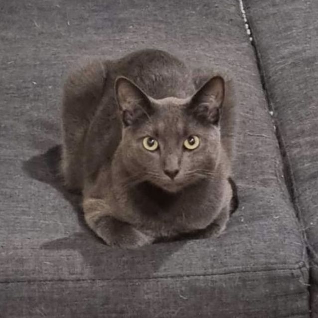 Photo of 💙 Einstein 💙