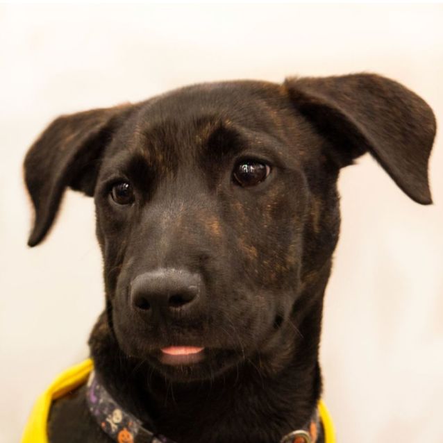 Photo of Trick 🤪🎃