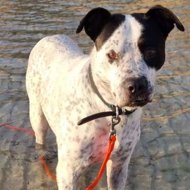 Photo of Draco Malfoy