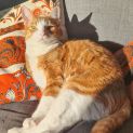 Photo of Jefrey