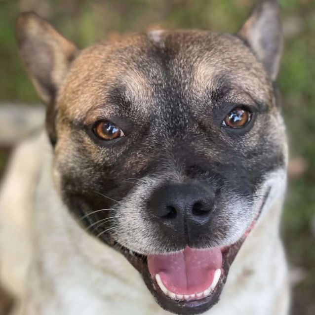 Photo of Chase