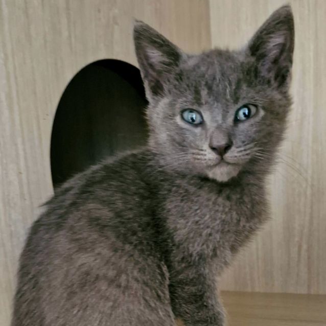 Photo of C1328 Baxter