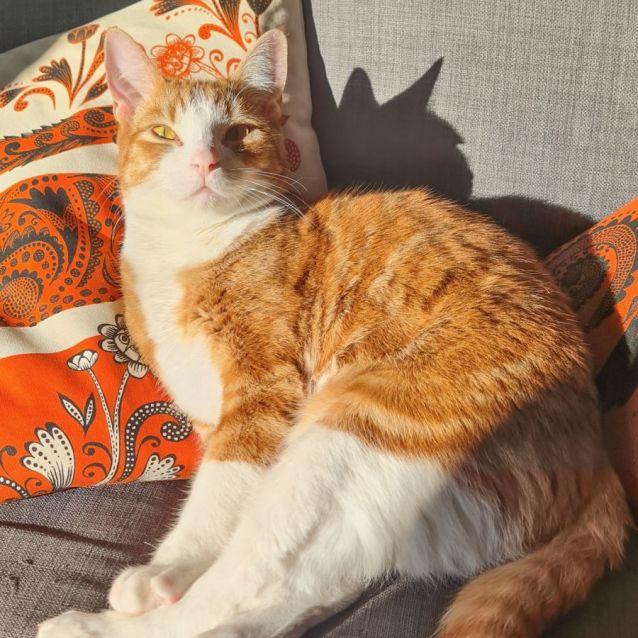Photo of Jefrey