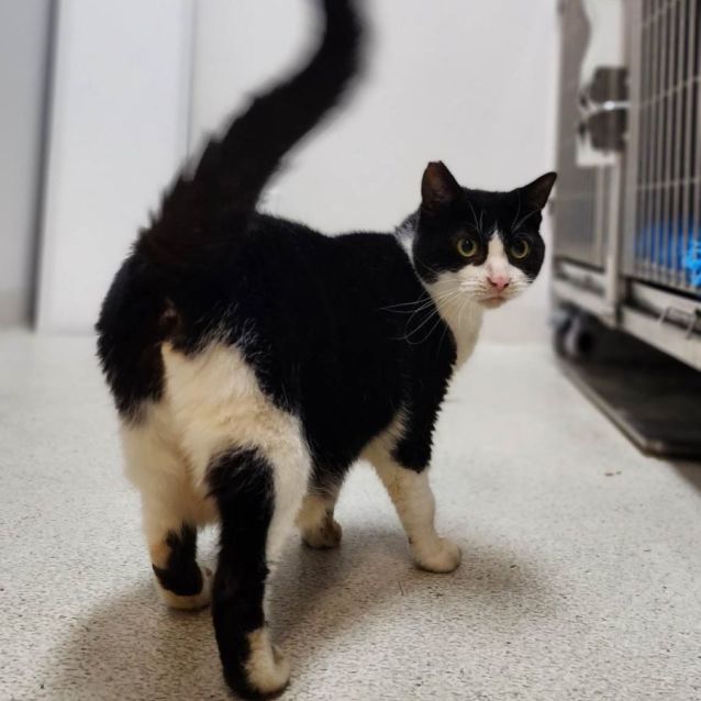 Photo of Nibbler (Located In Lynbrook)