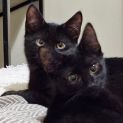 Photo of Tiny