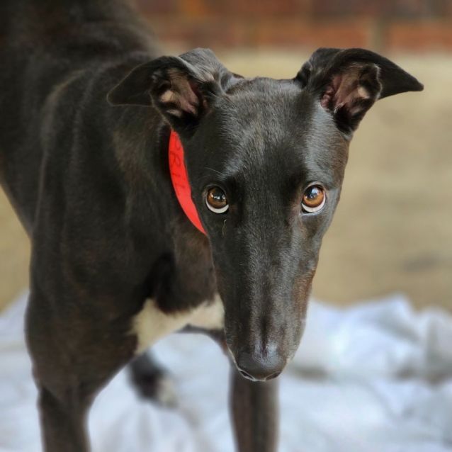 Photo of April