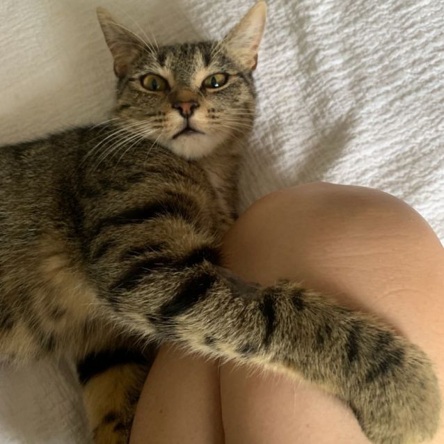 Photo of Honey Hazel