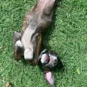 Photo of Freya