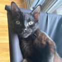 Photo of Neo