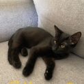 Photo of Sheila