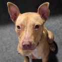 Photo of Thumbelina