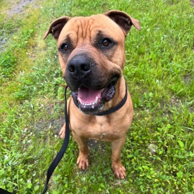 Photo of Zeke Dl2868