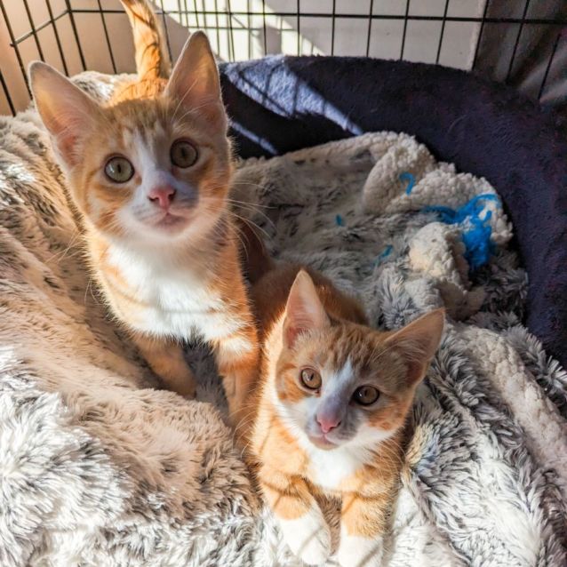 Photo of Sam & Annie