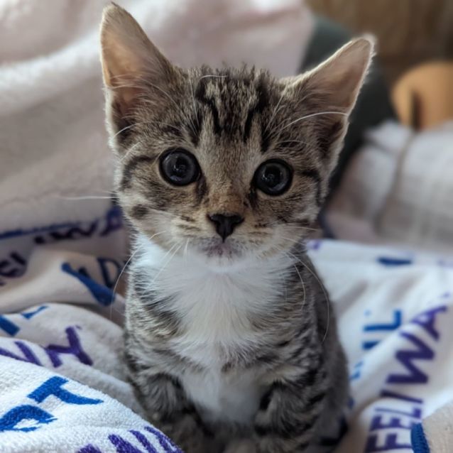 Photo of Jimmy James Hunt 