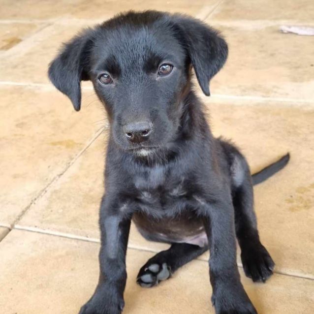 Photo of Fred And Barney