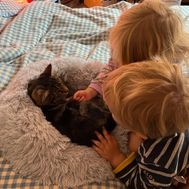 Photo of Marshmallow