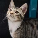 Photo of Minnie