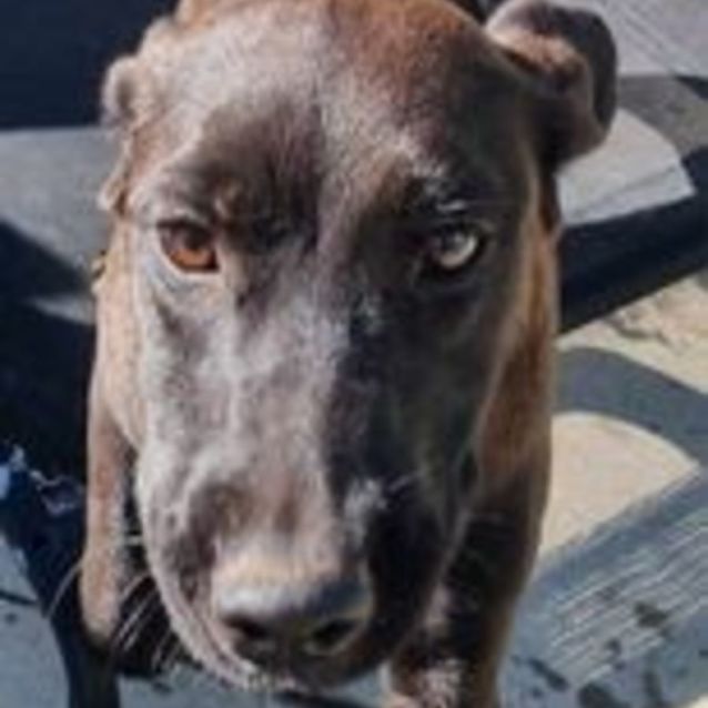 Photo of Tess