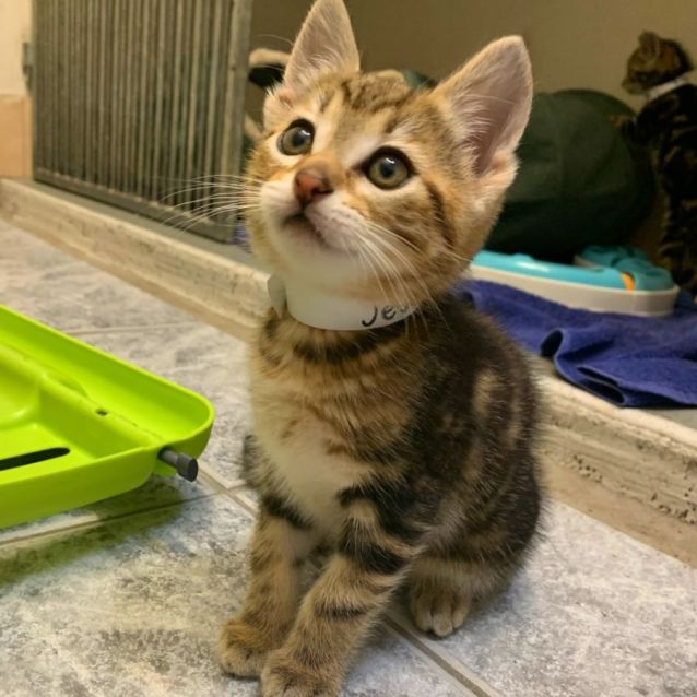 Photo of Simply Gorgeous